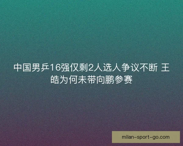 中国男乒16强仅剩2人选人争议不断 王皓为何未带向鹏参赛