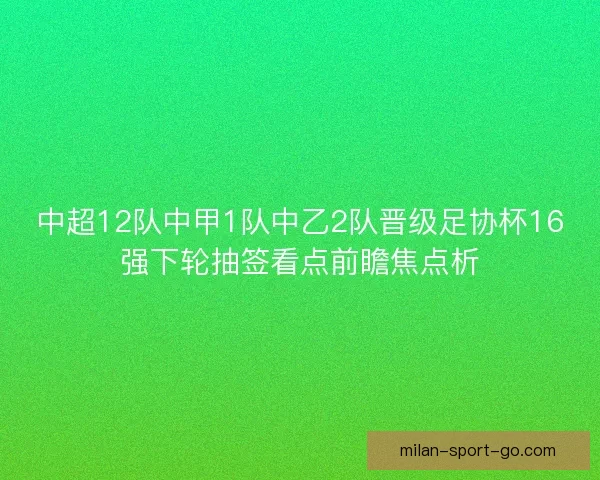 中超12队中甲1队中乙2队晋级足协杯16强下轮抽签看点前瞻焦点析 中超12队中甲1队中乙2队晋级足协杯16强下轮抽签看点前瞻焦点析